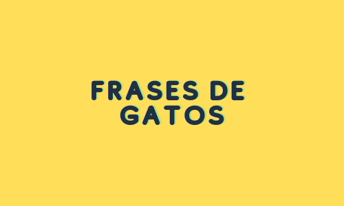 Frases de gatos