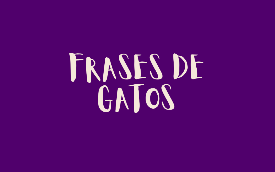 Frases de gatos