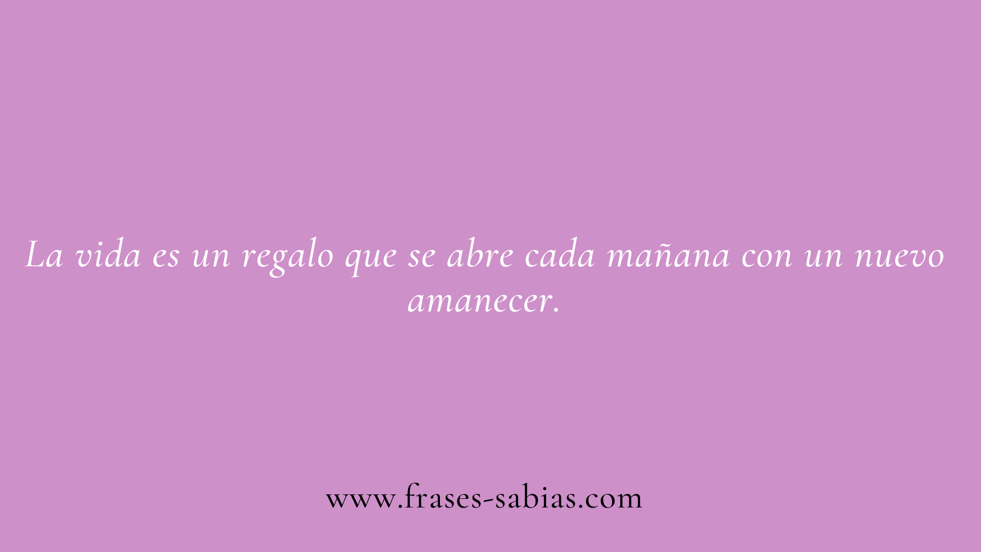 Frases de la vida y la gratitud